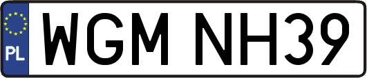 WGMNH39