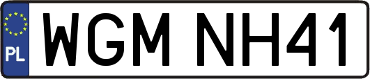 WGMNH41