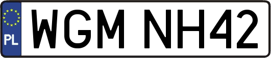 WGMNH42