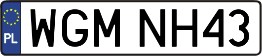 WGMNH43