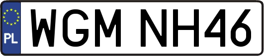 WGMNH46