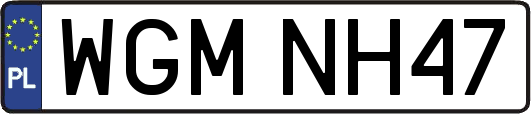 WGMNH47