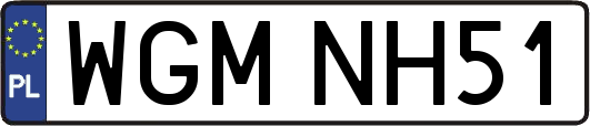 WGMNH51