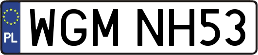 WGMNH53