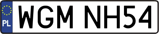 WGMNH54
