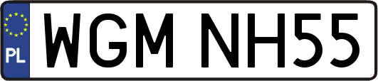 WGMNH55