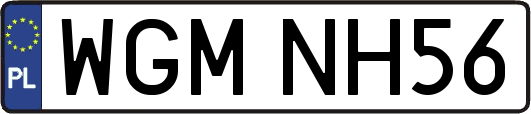 WGMNH56