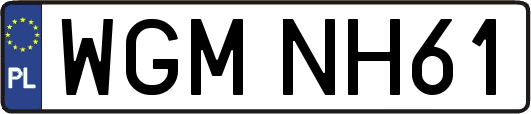 WGMNH61