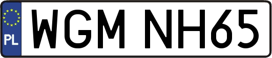 WGMNH65