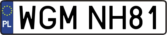 WGMNH81