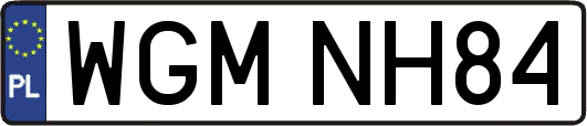 WGMNH84