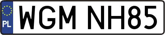 WGMNH85