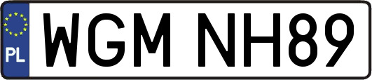 WGMNH89