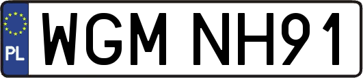 WGMNH91