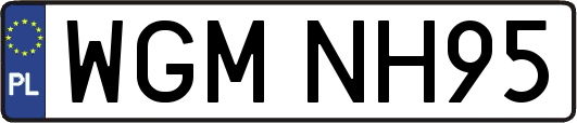 WGMNH95