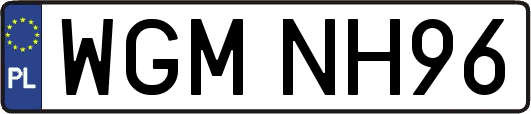 WGMNH96
