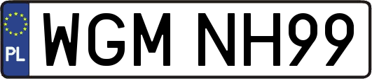 WGMNH99