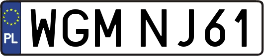 WGMNJ61