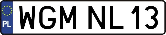 WGMNL13