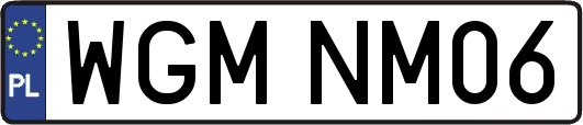 WGMNM06