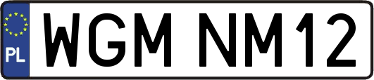 WGMNM12