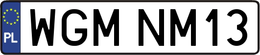 WGMNM13