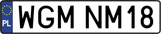 WGMNM18