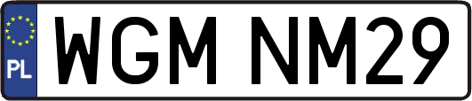 WGMNM29