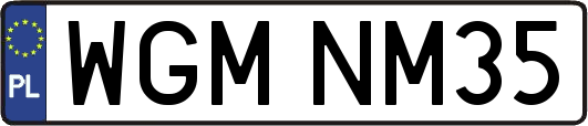 WGMNM35