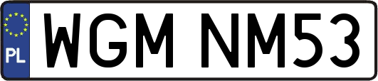 WGMNM53