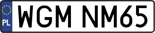 WGMNM65