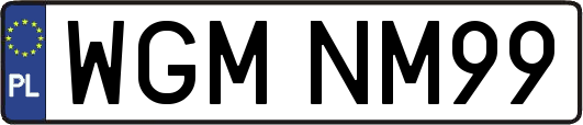 WGMNM99