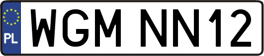 WGMNN12