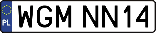 WGMNN14