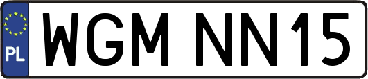 WGMNN15