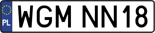 WGMNN18