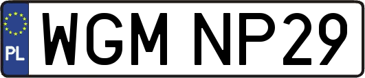 WGMNP29