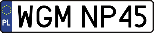 WGMNP45