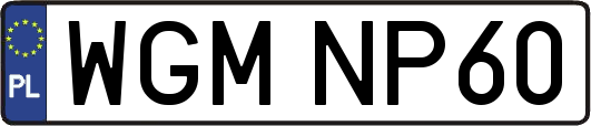 WGMNP60