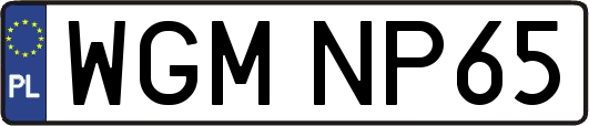 WGMNP65