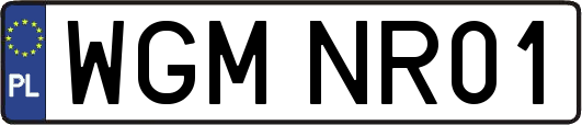 WGMNR01