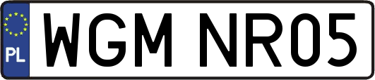 WGMNR05
