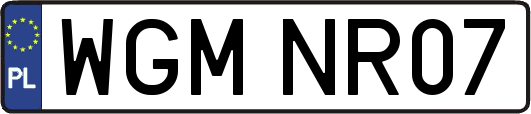 WGMNR07