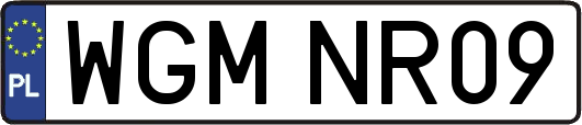 WGMNR09