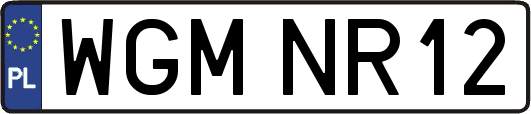 WGMNR12