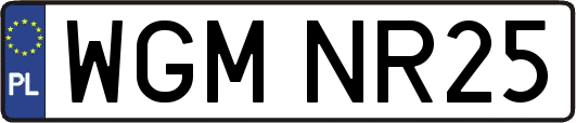 WGMNR25