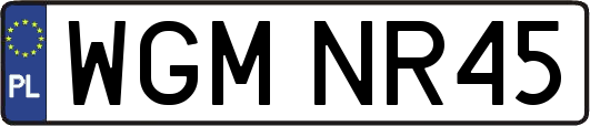 WGMNR45