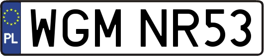 WGMNR53