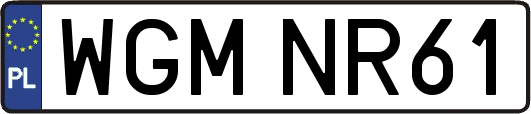 WGMNR61