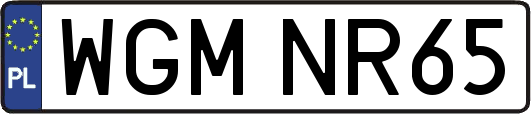 WGMNR65